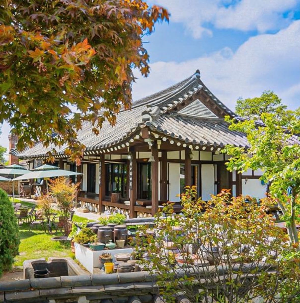 Damyang, Korea Selatan: Kota Bambu yang Menenangkan Jiwa